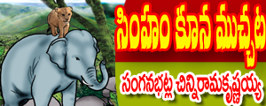 Simham koona muchata